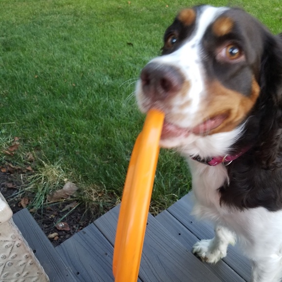 Meet your Posh Ambassador, Grace Horton! - Picture 4 of 6